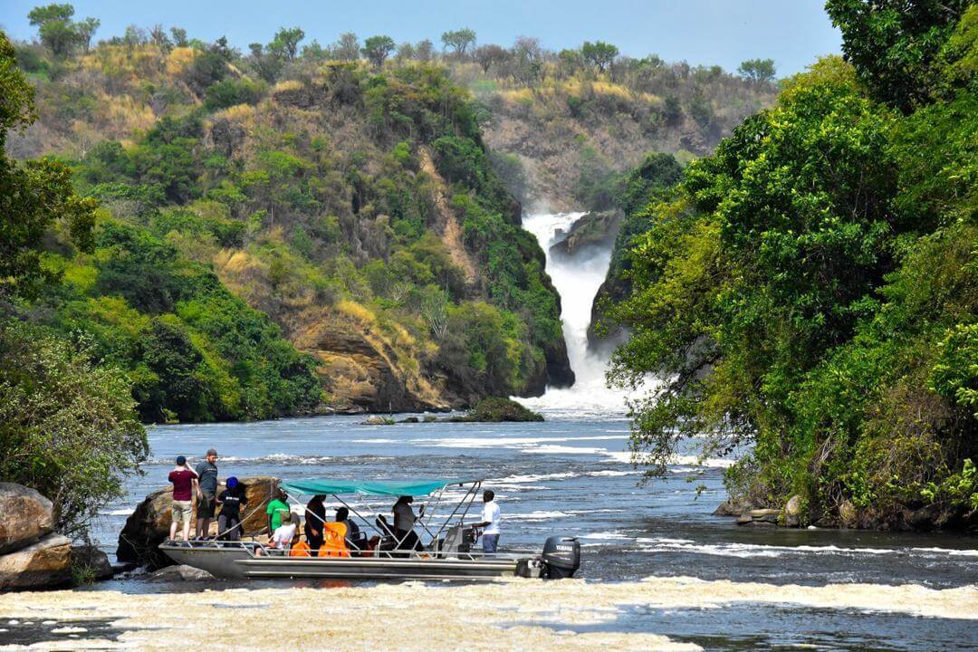Game Viewing at Murchison Falls