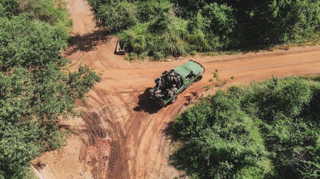 African Safari: 5 Tips and Tricks For An Epic Safari Tour
